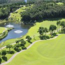 델피노숲 이미지