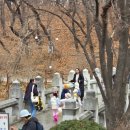 숲에서 | 송파 강동 올림픽공원 원어민 숲체험 영어야 숲에서 놀자 6살 분리수업 후기