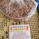 주신인삼 네이버블로그