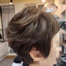 도봉-쌍문-도봉-1129 이미지