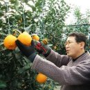 성제농장 이미지