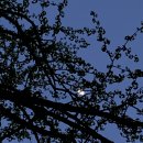 바다와 시인 민박 이미지