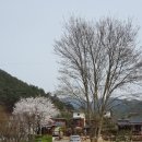 섬진강출렁다리펜션 이미지