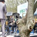 봉황교 이미지