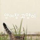 장안양어장 네이버블로그