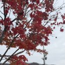 우니메이카 포천점 이미지