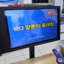 바다 양푼이동태탕,찜 | 함안 가야읍맛집 추천 | 바다양푼이동태탕찜 함안가야점 후기
