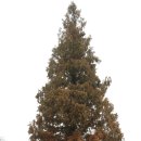 밤동산어린이공원 이미지