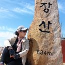 파리바게트반여