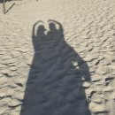 돌돌하 | 신혼여행/하와이] 그리워서 쓰게되는 신혼 여행 하와이 맛집 , 꿀팁, 후기 _ 6박 8일 (feat. 또 가고싶다🌴)