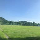 선동잔디구장 천연잔디구장 | 15분도시 부산, 선동잔디구장은 진짜 잔디임!