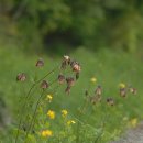 행치령로 이미지