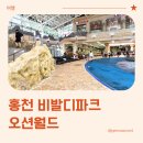 홍천 아이와 비발디파크 오션월드 방문 후기 (준비물, 입장대기방법, 먹을거리 등)