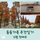 동동공원 | 동동가족 주간일기 11월 첫째주 / 브리츠 올인원 오디오 구입 / 걸포중앙공원 단풍