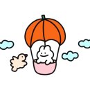 스타워시존 이미지