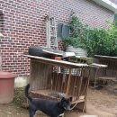 모노 (MONO) 이미지