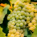 STAY Valley 90 이미지