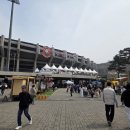 소사생태길(파쇄장 근처) | 부천 원미산 진달래축제 다녀온 후기 주차 꿀팁 서울근교 꽃축제