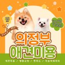 의정부애견미용 제대로 배우려면? 자격증 준비부터 기관 선택까지