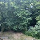 왕대민박 이미지