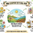 6시 내고향 나온 해남 단호박, 2026년 지금 주목받는 이유 (승현이네 농장 총정리)