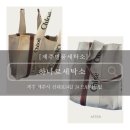 주신세탁소 | [제주명품세탁소] : 끌로에 우디백 새로운 가방처럼 복원작업 해주신 하나로세탁소 내돈내산 후기