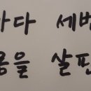 새통영다찌 이미지