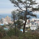 중문선궷내 입구 Daum카페