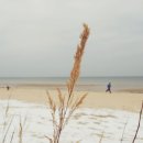 CU 해비치리조트점 | 제주 해비치리조트, 후기, 인기이유, 부대시설, 주차, 여름피서지로 딱