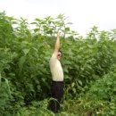 현제농장 이미지