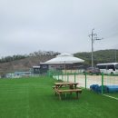 견인지역 애견운동장 유치원 김포점 이미지