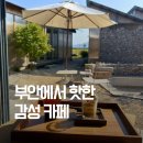 대벌식당 | 부안 파란곳간｜곧 수레국화 절정, 지금 사진 찍으러 가기 좋은 감성카페
