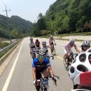 텐프로헤어