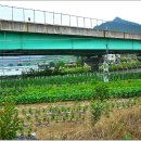 추풍령모텔 이미지