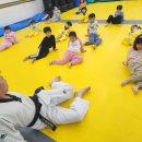 태권도활천도장 이미지