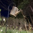 정읍사 문화공원 이미지