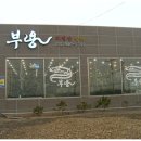 부용장어 이미지