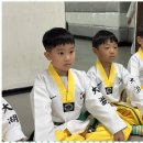 대호태권도체육관 이미지