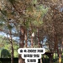 숲속의라이브카페도림원