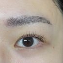 원주 속눈썹 '래쉬고고' 속눈썹 펌 &amp; 브로우 펌 후기 👁️✨