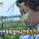 영서에너지(주) 우리집주유소 | 나의 유럽일기(23) / 바티칸이 어떤 칸이에요?