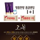 지케이홍삼 이미지
