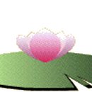 가말천 Daum카페