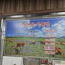 인지한우마을 티스토리