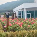 정관아쿠아 드림파크 이미지