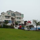 안면도발리 이미지