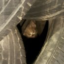 경림카센타 이미지