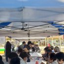 금란초교 이미지