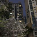 제일컴퓨터크리닝 이미지