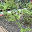 시엠프레평택 이미지